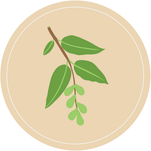 Ayurveda