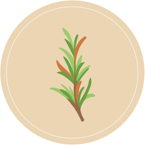 Spices